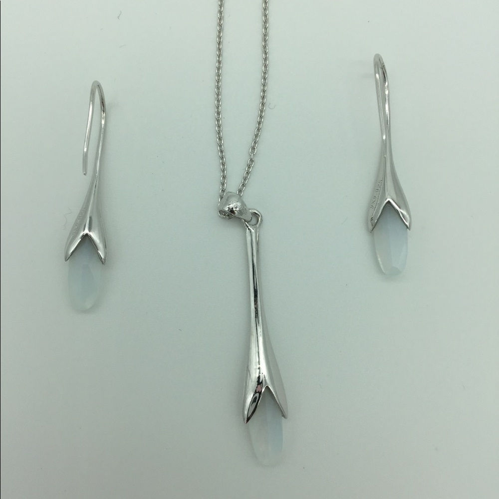 Sterling Silver 925 Necklace + earrings